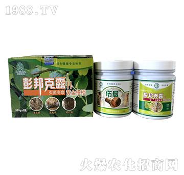 ���䝢���������b-��������