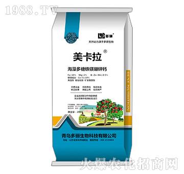 ��������F�V���\�}-������-���P����