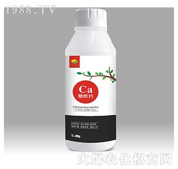 �Ǵ��}-��������