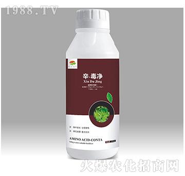 ��������-��������