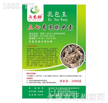 ���������-ʩ����