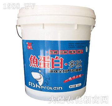 �~���ס�����-��������