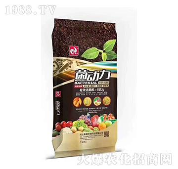 ���Z�l(f��)�������ЙC(j��)����-������-�����t