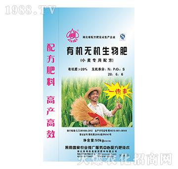 С�������ЙC(j��)�o(w��)�C(j��)�����-һ���S-����