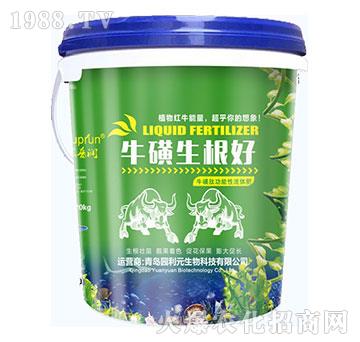 ����������-�@��Ԫ