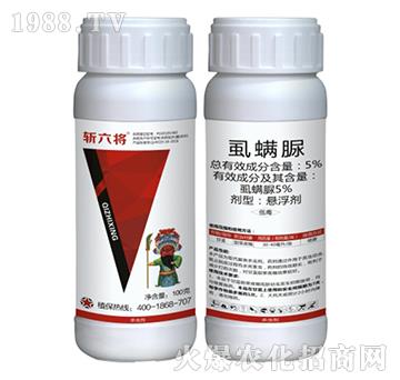 5%ʭ����-��������100�ˣ�-��֮��