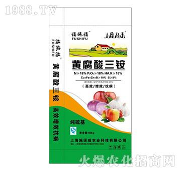 �S�������@-��ʩ��-ʩ���_