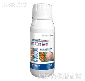 ����ۡ�����ѿ�ߗU��-�����K�Y(ji��)��-����(l��)����-̩��(l��i)