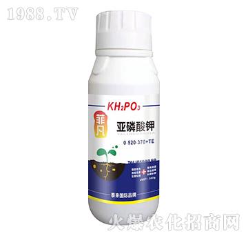 �������0-520-370+TE-�Ʒ�-̩��