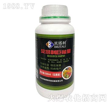 ؐ������������-ؐ����