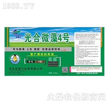 ���΢��4̖-ʥ���m