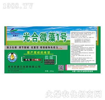 ���΢��1̖(h��o)-ʥ���m