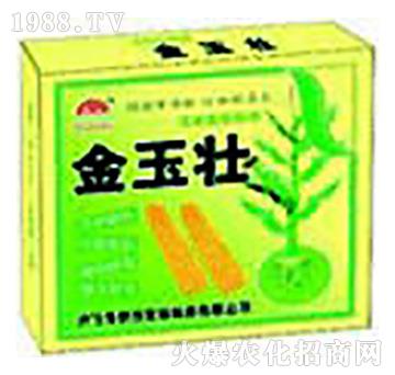 �����-ʥ�i