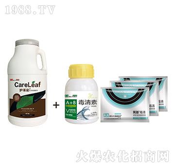 �o�̲�+����M��-���������η���-������A