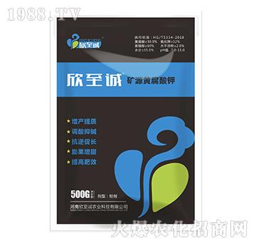 �VԴ�S�����-�����\