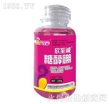 �Ǵ���-�����\(ch��ng)