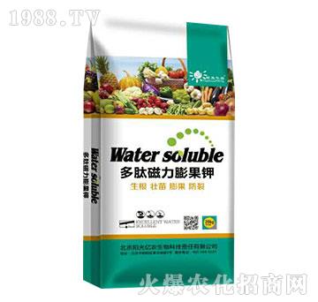 ���Ĵ�������-�(y��ng)��|�r(n��ng)