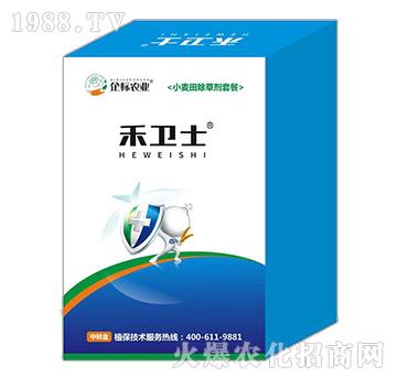 С������݄��ײ�-���l(w��i)ʿ-����r(n��ng)�I(y��)