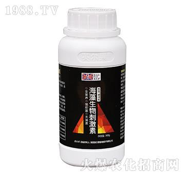 360g��������̼��أ�ƿ��-Ӣ����