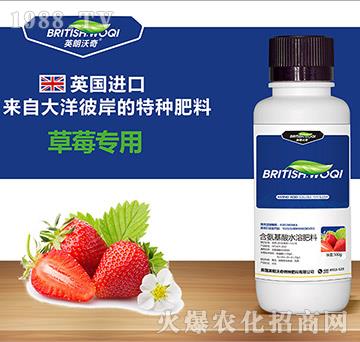 ��ݮ���ú�������ˮ�ܷ���-Ӣ������