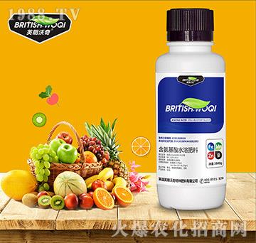 ��������ˮ�ܷ���-Ӣ������