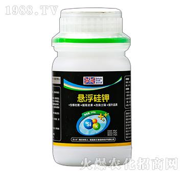 240g�Ҹ����-Ӣ����