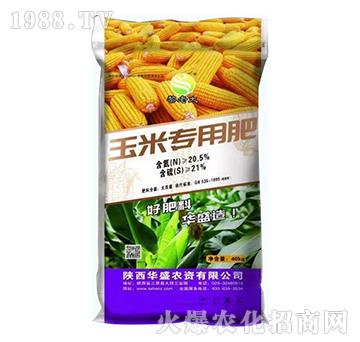 ���׌��÷�-�Aʢ�r�Y