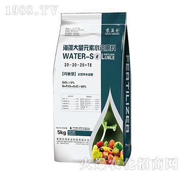 ƽ���ͺ������Ԫ��ˮ�ܷ�20-20-20+TE-�r(n��ng)�M�}-����r(n��ng)�I(y��)