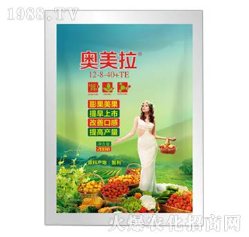 �W����12-8-40+TE-��������