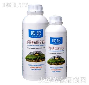 �}�V���\�F-�W��-��������