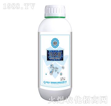 ���w��-���S-̩����