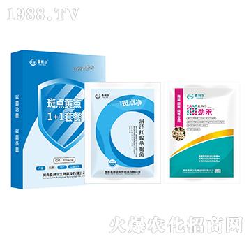 ���c(di��n)�S�c(di��n)1+1�ײ�-̩����