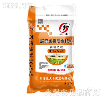 ��ȩ��ጏͺϷ���30-5-5-���S-������