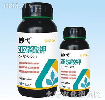 �������0-525-270-���-��(��i)ɭ��