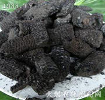 ����о̿-��(r��n)�f(w��n)���r(n��ng)�I(y��)