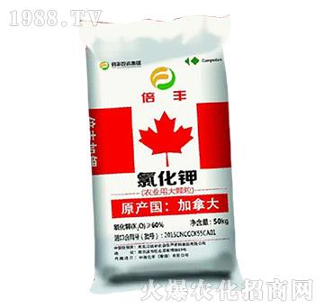 �r(n��ng)�I(y��)�ô��w���Ȼ��-���S�}��