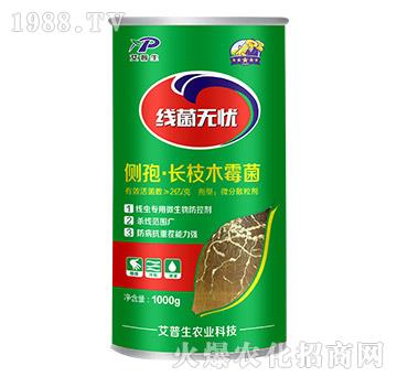 側(cè)孢·長枝木霉菌-線菌無憂-艾普生