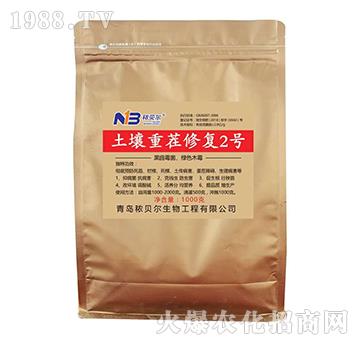 �����ز��ޏ�(f��)2̖(h��o)-��ؐ��