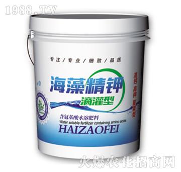 ���徫⛵ι��-�f��