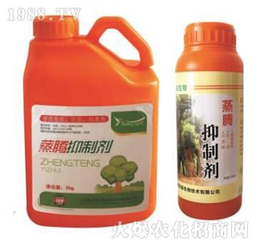 ���v���Ƅ�-�p������