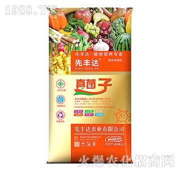 ֲ��I(y��ng)�B(y��ng)����-�����-���S�_(d��)