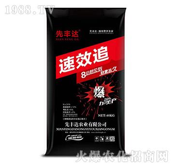 ��Ч׷-���S�_