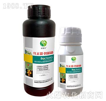 ��Ч�A(y��)���t֩�����ܾ���-�t�o(w��)Ӱ�����ܾ�-��ֲ��(y��u)