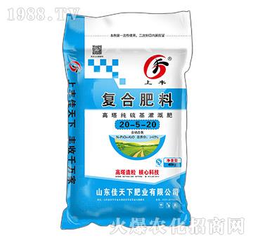 �����������ȏͺϷ���