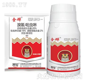 20%���衤���x��-���s-��ʯ����