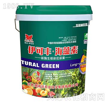 ̼ø������������-�����S��������-����