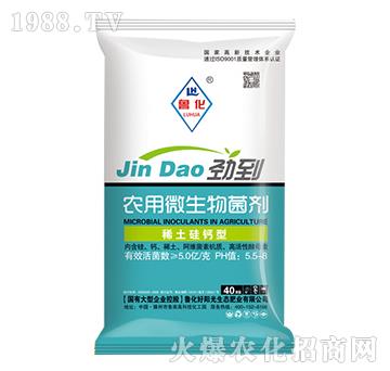 ϡ�����}���r��΢�������-����