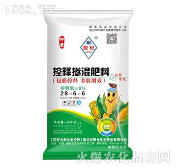 ��ጓ������28-6-6-����