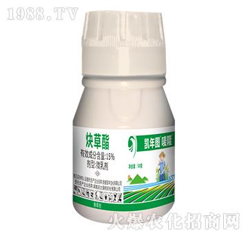 15Ȳ����-�O¡-�P��D