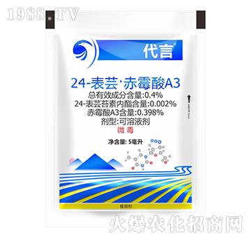 24-���|����ù��A3-����-�P��D